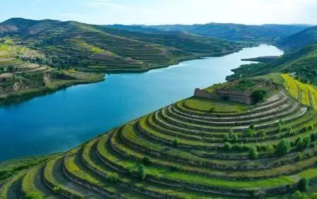 重點(diǎn)行業(yè)VOCs治理“一企一策”！寧夏空氣質(zhì)量持續(xù)改善行動實(shí)施方案公開征求意見