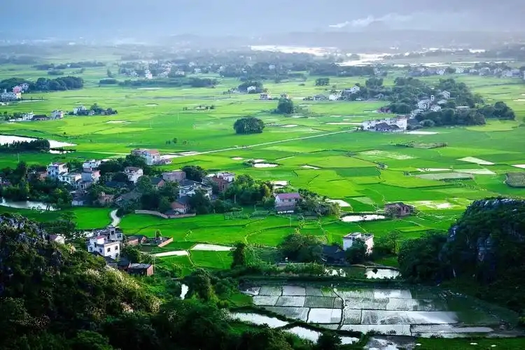 政府工作報告出爐，2025年生態環保工作這么干！